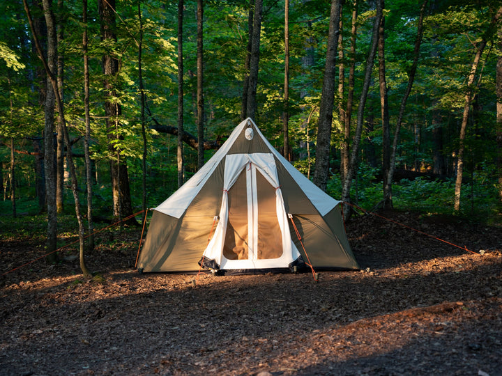 Tent in a forest setting with trees and natural light