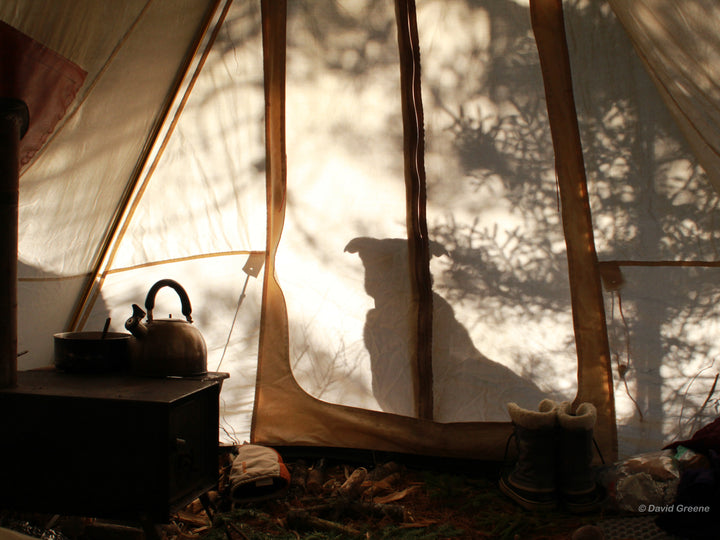 Snowtrekker 8x10 Shortwall Inside Tent With Dog Silouette Outside