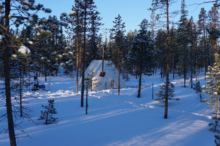 Hannes' Snowtrekker Tent in a snowy forest