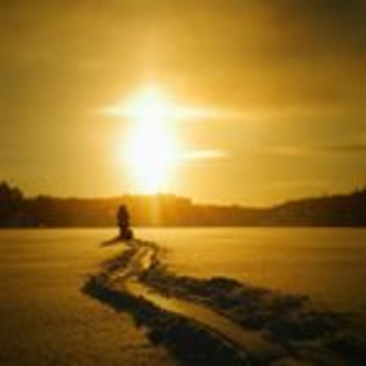 Marrone walking in snow leaving a trail