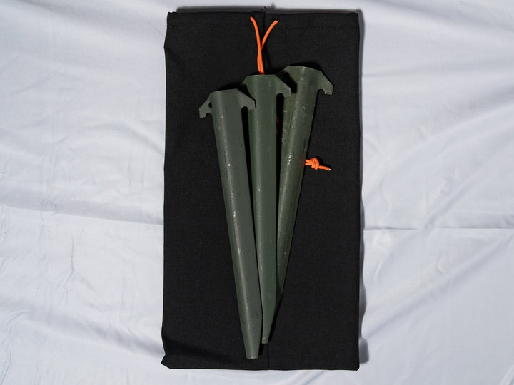 Three green tent stakes in a black carrying case on a white background