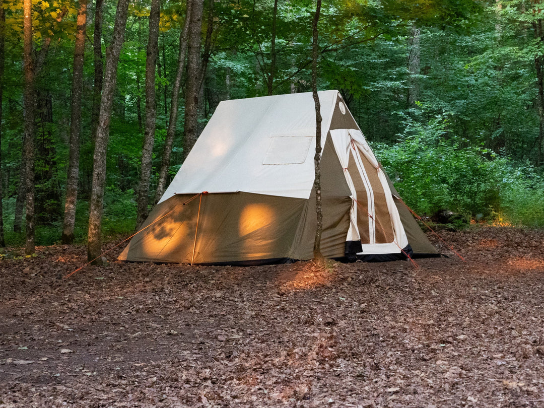 Camping tent in a forest setting with trees and ground cover.