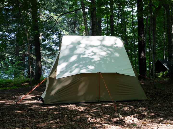 Camping tent in a forest setting