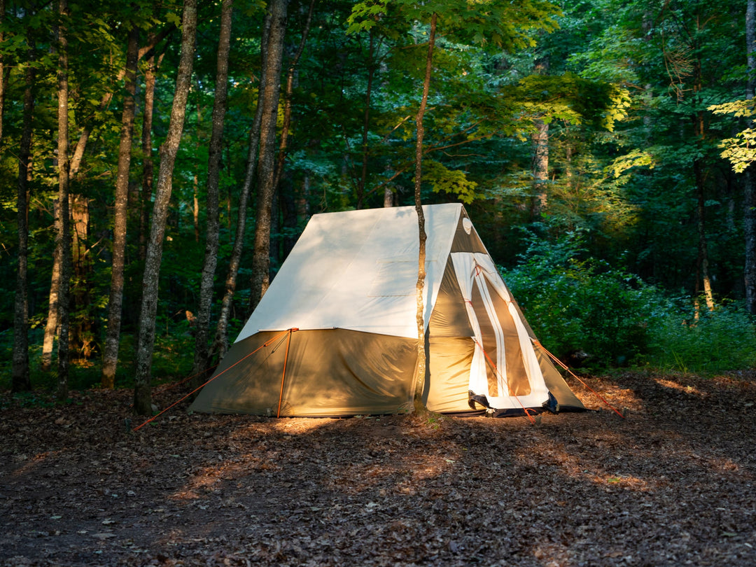 Tent set up in a forest during sunrise