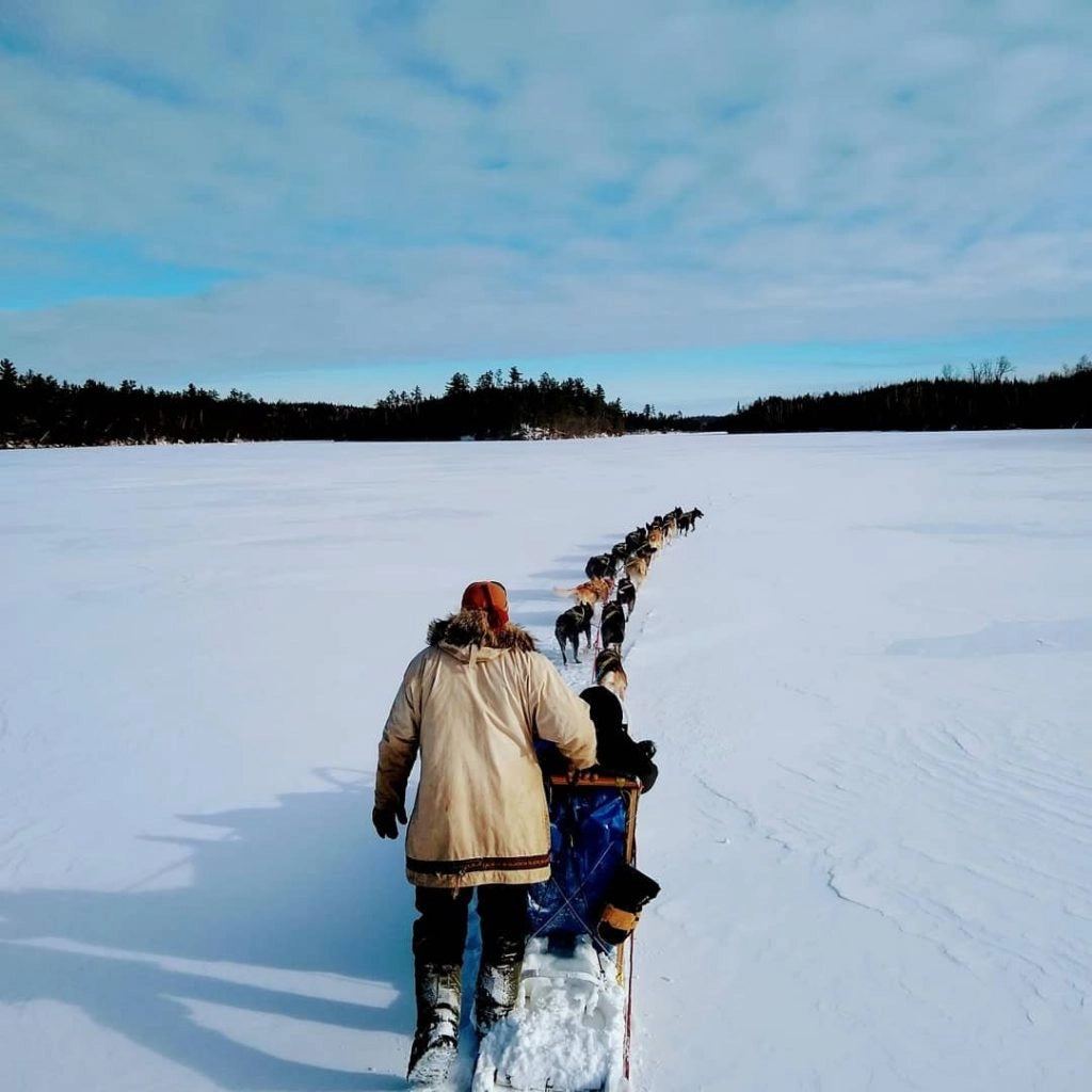 Hauling Dogs pulling sled 